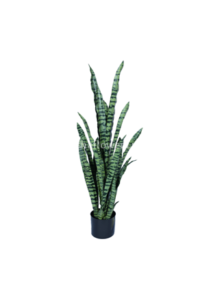 Сансеверия 115см 30л. Арт.HPL-G115cm-30L
